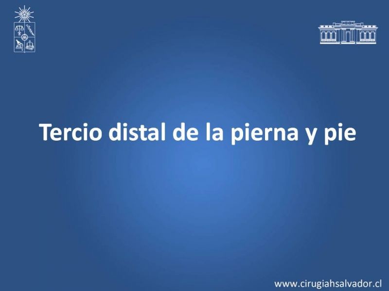 Diapositiva 29 de Reconstrucción de extremidad inferior