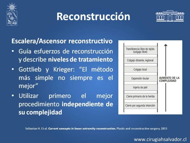 Diapositiva 7 de Reconstrucción de extremidad inferior