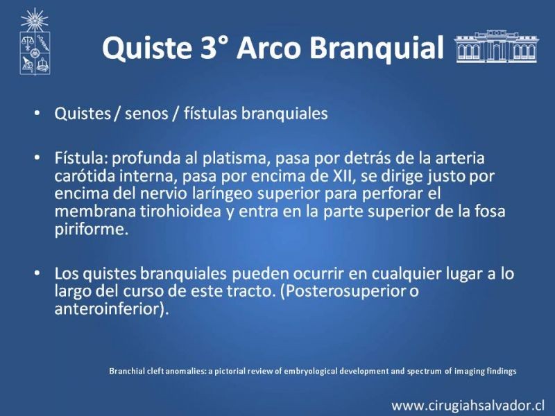 Diapositiva 22 de Quistes Branquiales