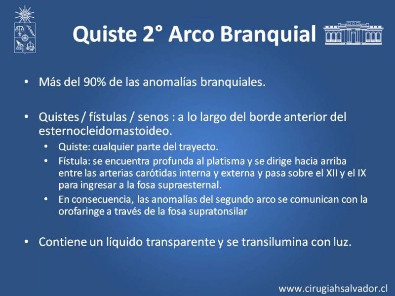 Diapositiva 11 de Quistes Branquiales