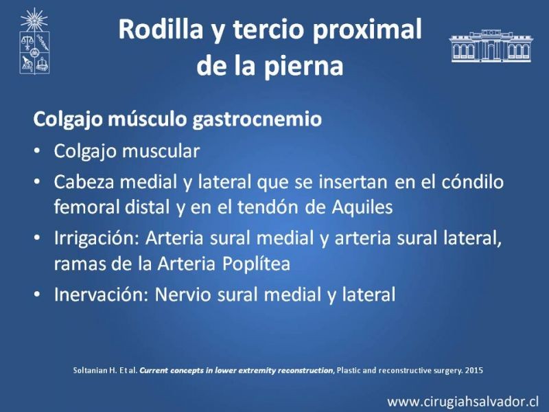 Diapositiva 13 de Reconstrucción de extremidad inferior