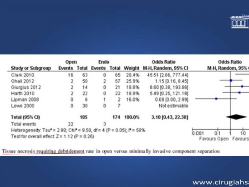 Diapositiva 38 de Cirugía de Separación de Componentes