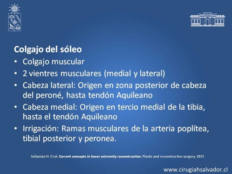 Diapositiva 27 de Reconstrucción de extremidad inferior