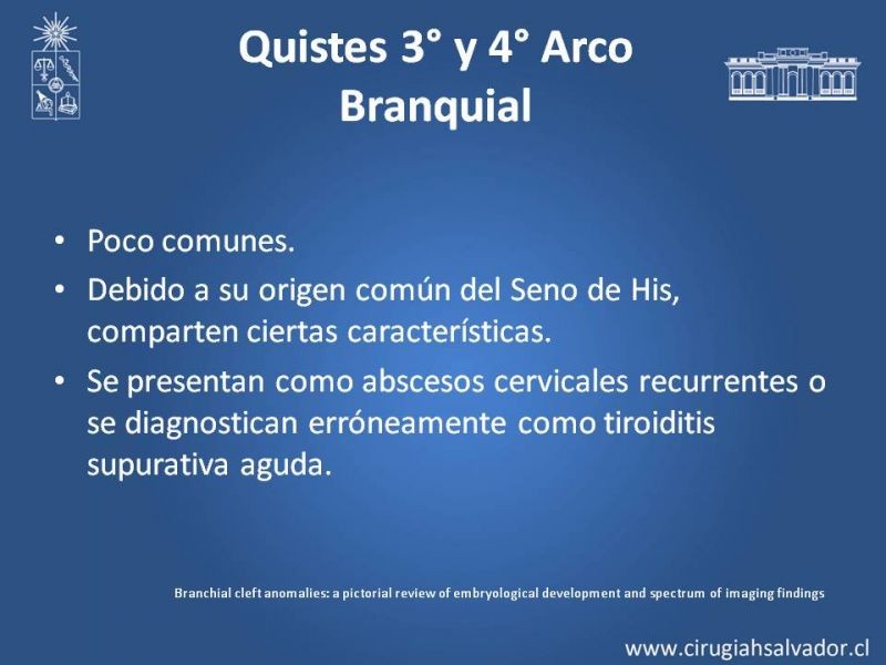 Diapositiva 21 de Quistes Branquiales