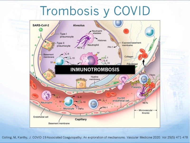 Diapositiva 25 de Marcadores de trombosis