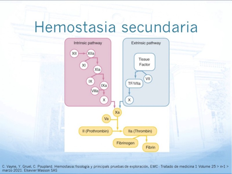 Diapositiva 5 de Marcadores de trombosis