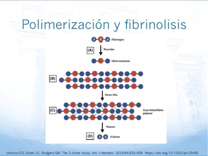 Diapositiva 7 de Marcadores de trombosis