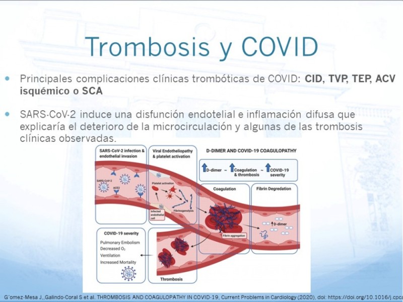 Diapositiva 24 de Marcadores de trombosis