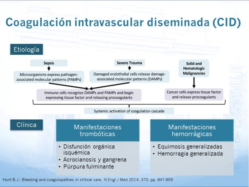 Diapositiva 22 de Marcadores de trombosis