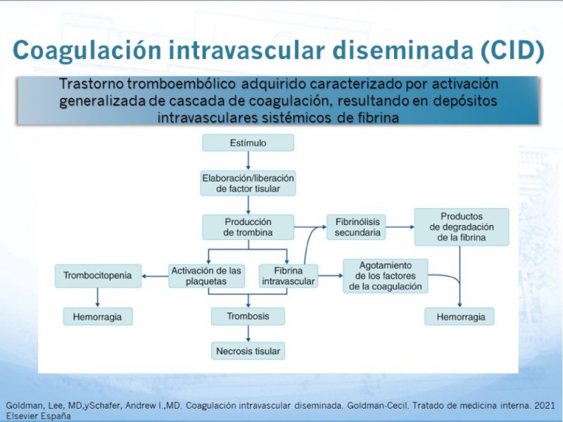 Diapositiva 21 de Marcadores de trombosis