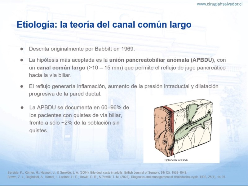 Diapositiva 7 de Quistes de Vía Biliar​