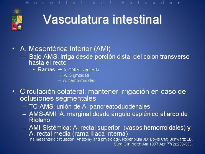 Diapositiva 4 de Isquemia Mesentérica Aguda