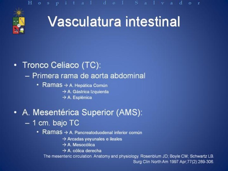 Diapositiva 3 de Isquemia Mesentérica Aguda
