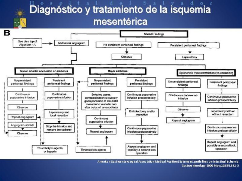 Diapositiva 25 de Isquemia Mesentérica Aguda