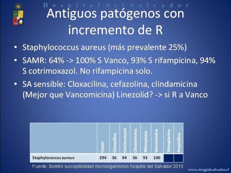 Diapositiva 14 de Flora Microbiana 