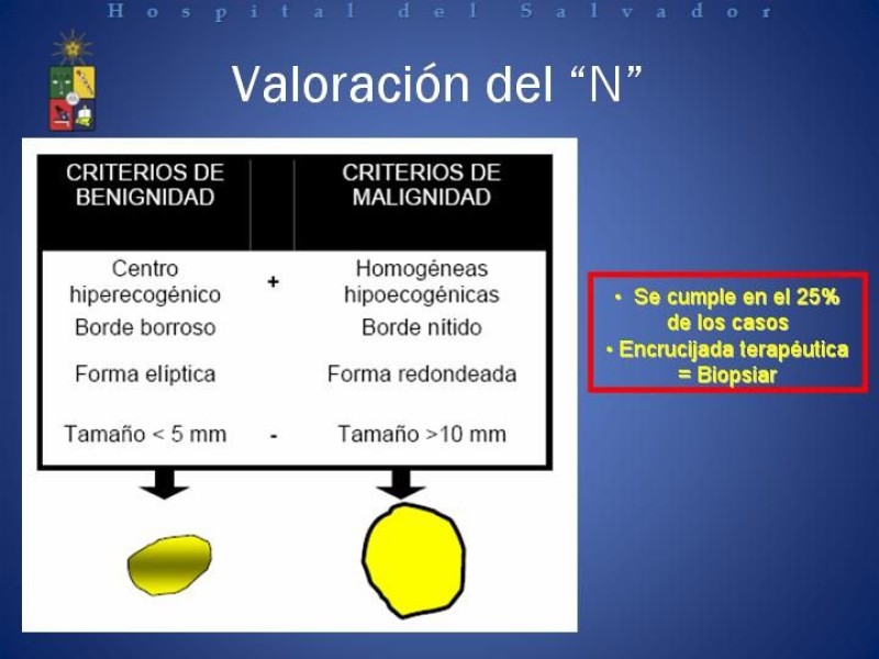 Diapositiva 15 de Mucosectomía Endoscópica en Cáncer Esofágico Superficial y Rol de la Endosonografía