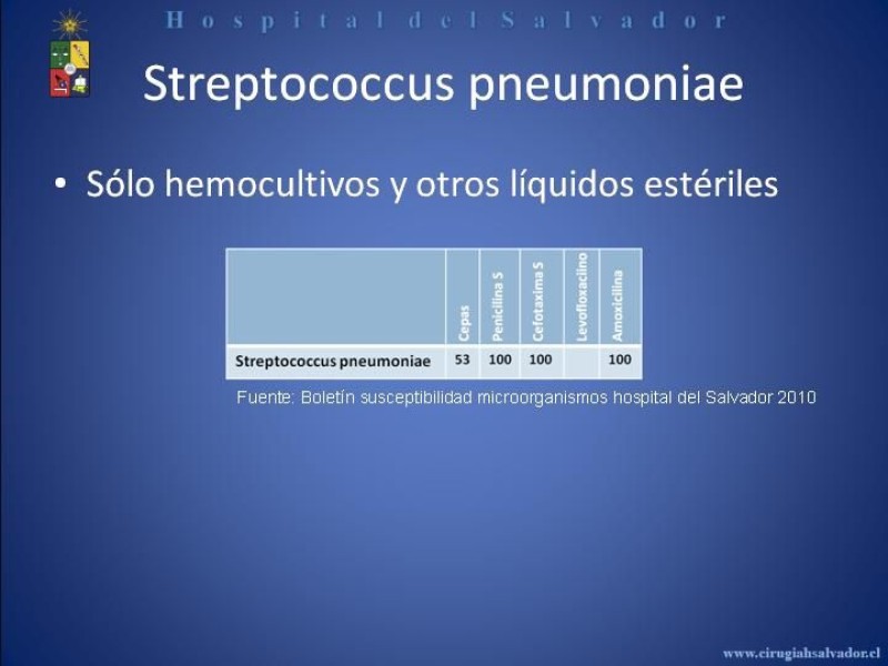 Diapositiva 21 de Flora Microbiana 