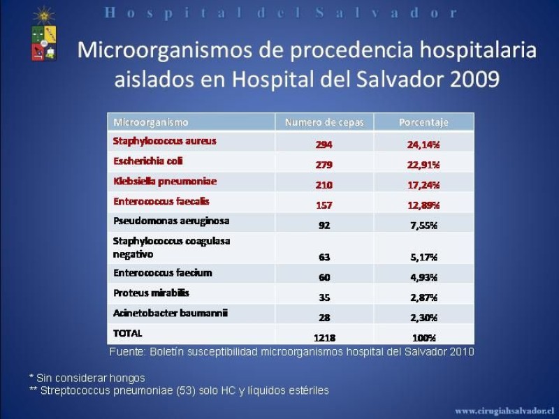 Diapositiva 8 de Flora Microbiana 