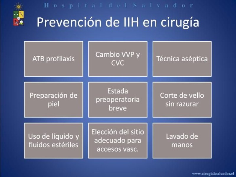 Diapositiva 5 de Flora Microbiana 