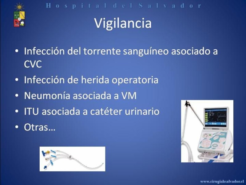 Diapositiva 6 de Flora Microbiana 