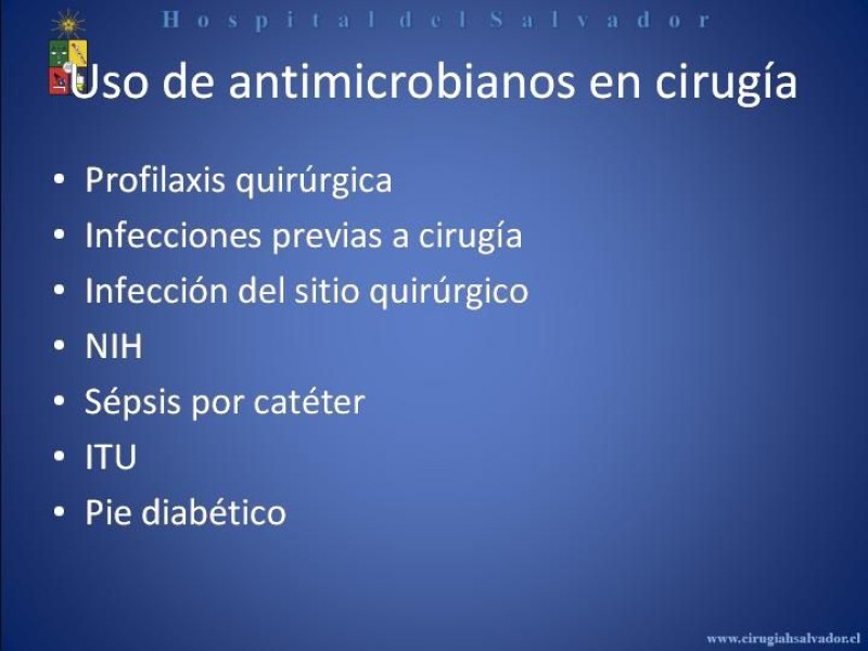 Diapositiva 17 de Flora Microbiana 