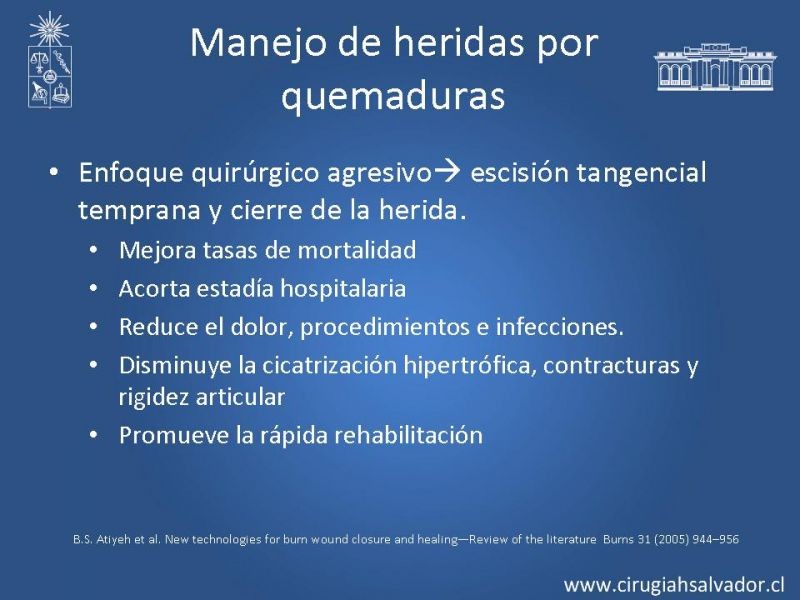 Diapositiva 4 de Sustitutos dérmicos en quemados