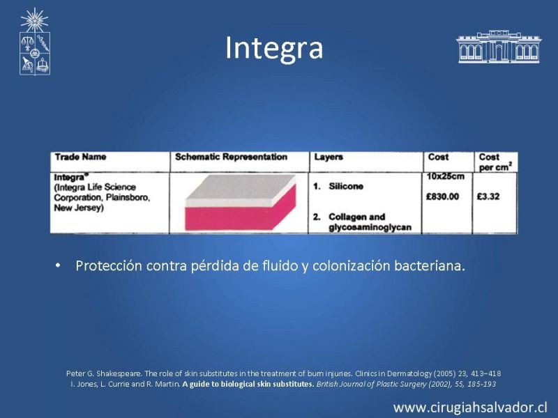 Diapositiva 6 de Sustitutos dérmicos en quemados