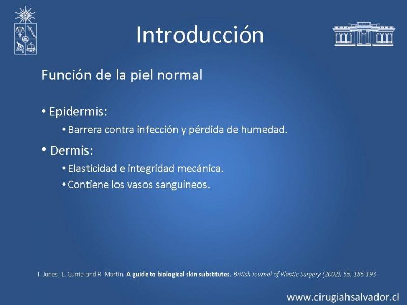 Diapositiva 1 de Sustitutos dérmicos en quemados