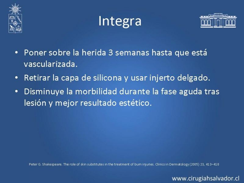Diapositiva 7 de Sustitutos dérmicos en quemados