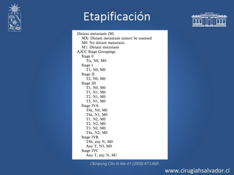 Diapositiva 14 de Cáncer Laríngeo