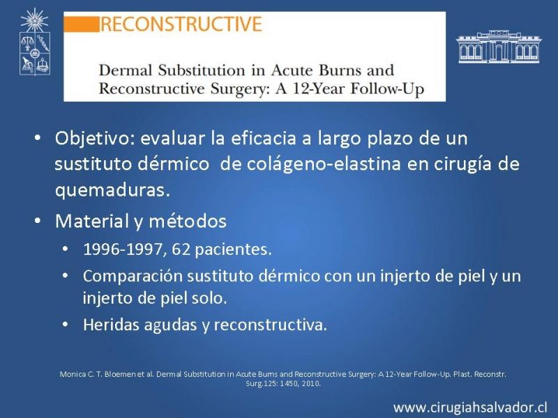 Diapositiva 18 de Sustitutos dérmicos en quemados
