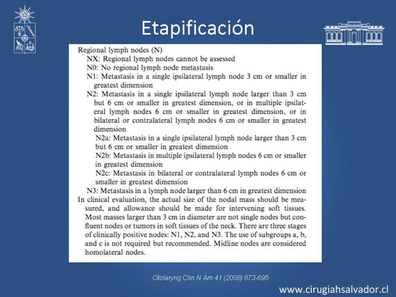 Diapositiva 13 de Cáncer Laríngeo