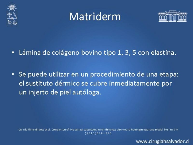 Diapositiva 10 de Sustitutos dérmicos en quemados