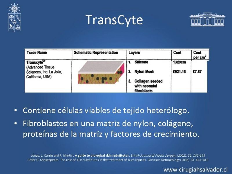 Diapositiva 15 de Sustitutos dérmicos en quemados
