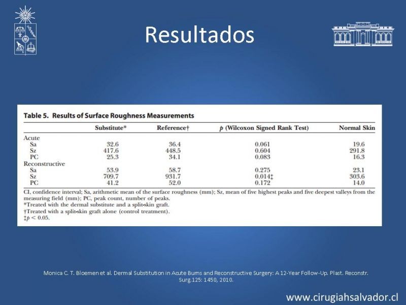 Diapositiva 21 de Sustitutos dérmicos en quemados