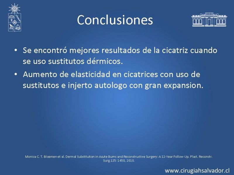 Diapositiva 24 de Sustitutos dérmicos en quemados
