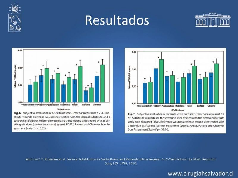 Diapositiva 23 de Sustitutos dérmicos en quemados