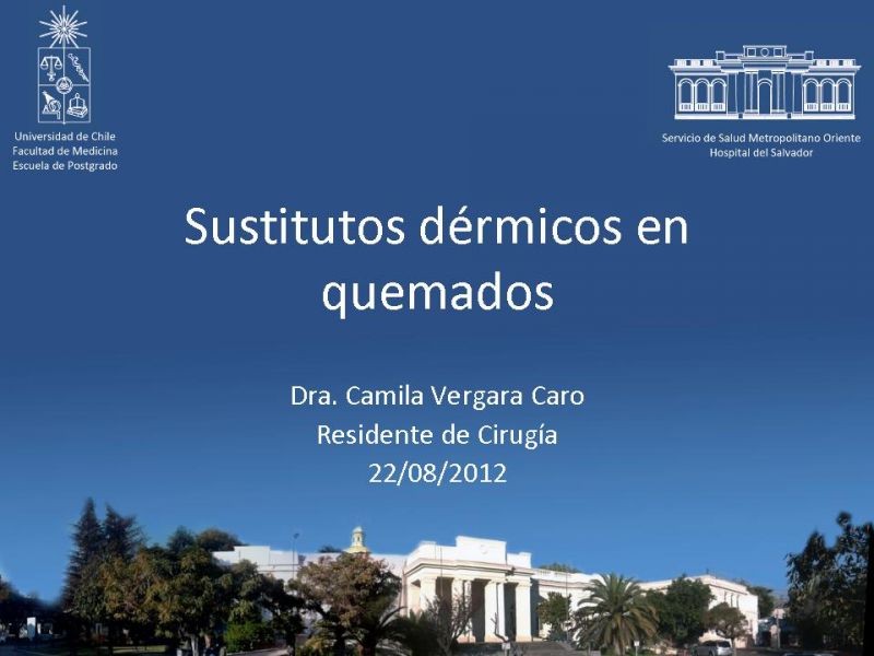 Diapositiva 25 de Sustitutos dérmicos en quemados