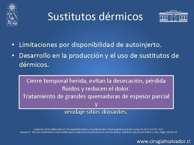 Diapositiva 5 de Sustitutos dérmicos en quemados