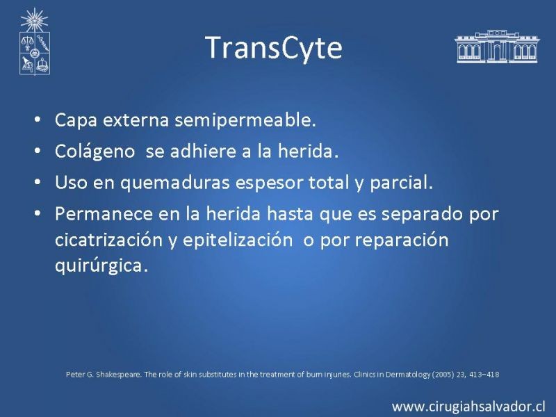 Diapositiva 16 de Sustitutos dérmicos en quemados