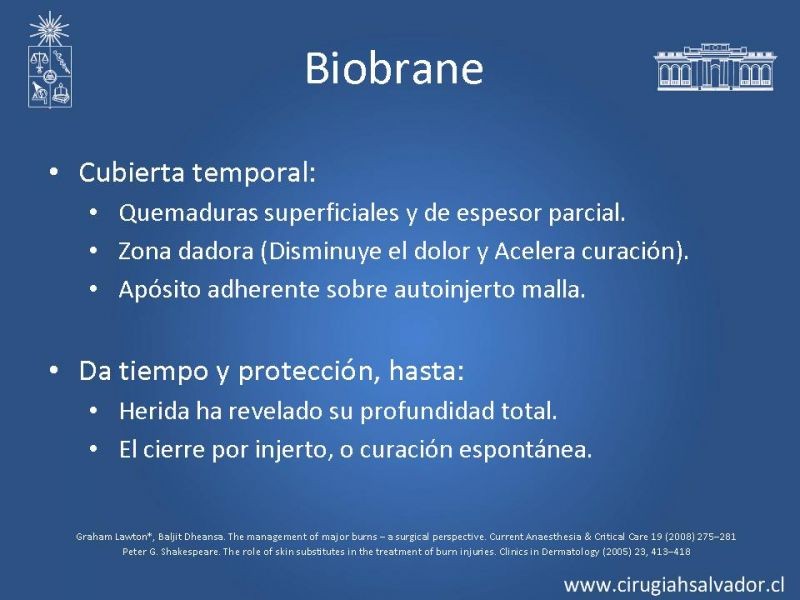 Diapositiva 13 de Sustitutos dérmicos en quemados