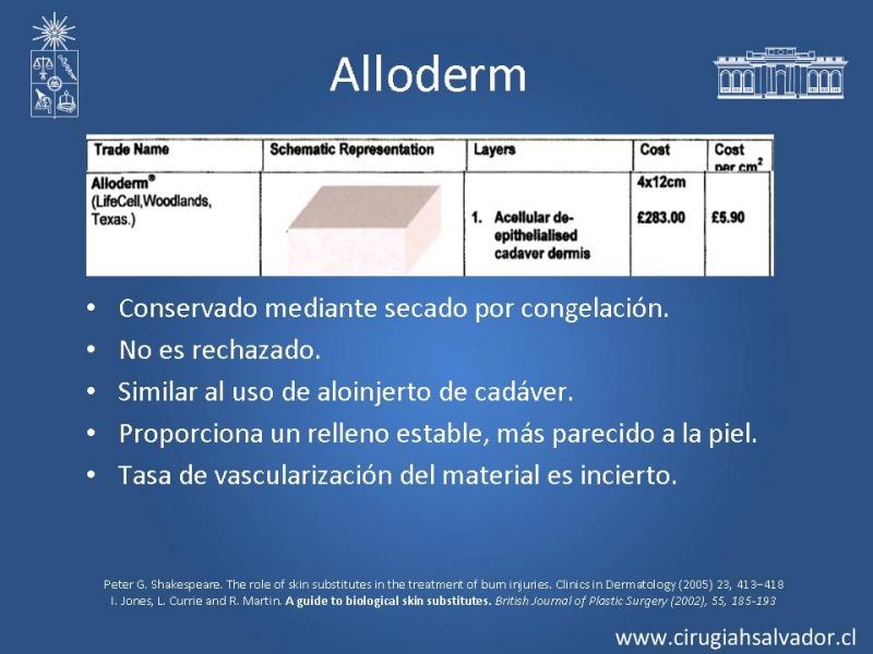 Diapositiva 11 de Sustitutos dérmicos en quemados