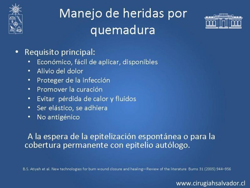 Diapositiva 3 de Sustitutos dérmicos en quemados
