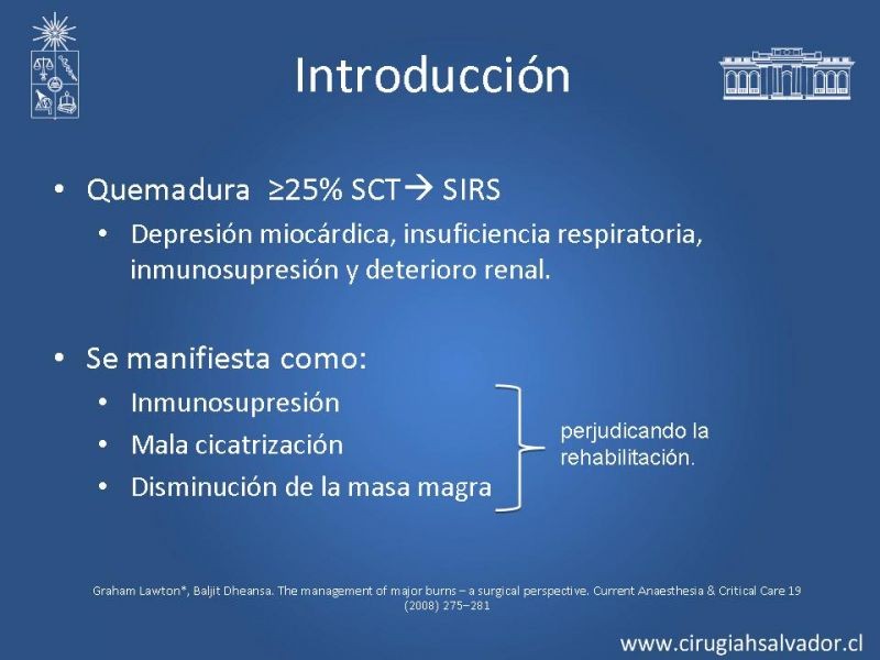 Diapositiva 2 de Sustitutos dérmicos en quemados