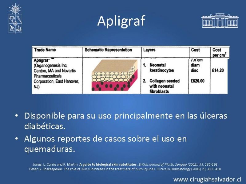 Diapositiva 17 de Sustitutos dérmicos en quemados