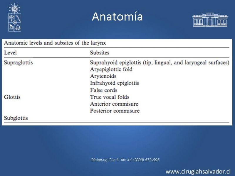 Diapositiva 7 de Cáncer Laríngeo