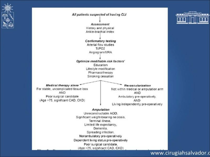 Diapositiva 31 de Tratamiento Actual de la Isquemia crítica EEII
