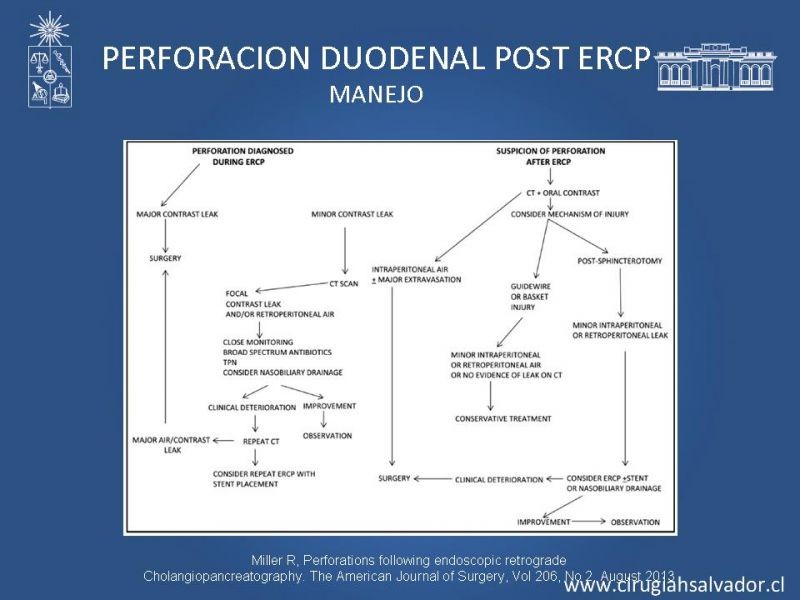 Diapositiva 22 de Sindrome de Mirizzi