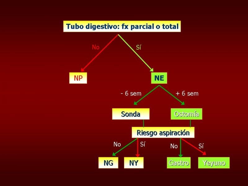 Diapositiva 2 de Nutrición Parenteral