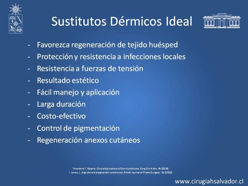 Diapositiva 38 de Sustitutos Dérmicos